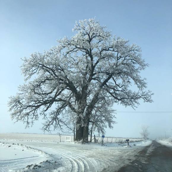 Meet your Posher, Erica - Picture 1 of 1